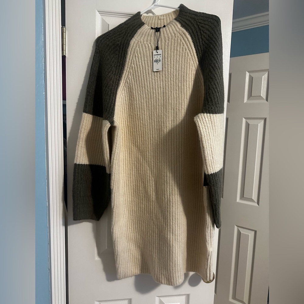 Express sweater dress